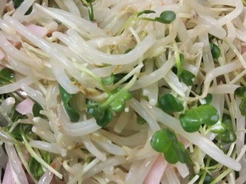 もやしとかいわれの豆板醤マヨネーズあえ